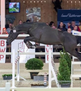 Stallion Selection Show, 2° phase Stallion Selection Show, 2° phase