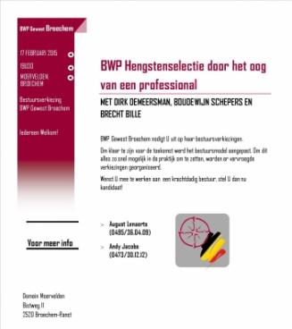 BWP Hengstenselectie door het oog van een professional BWP Hengstenselectie door het oog van een professional