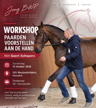 Workshop paarden voorstellen aan de hand