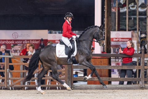 What a Diamond der Steenakker