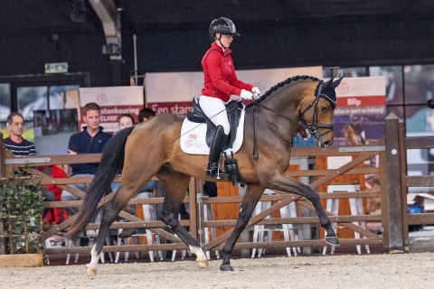 Velvet Begijnhoeve