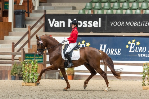 Walt Disney van den Bruël