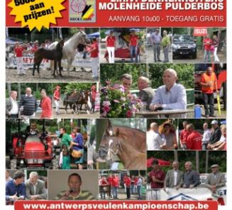 Antwerps Veulenkampioenschap: inschrijven tot en met 22 juli Antwerps Veulenkampioenschap: inschrijven tot en met 22 juli