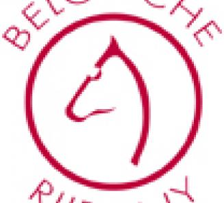 Data Bestgaande Rijpony Data Bestgaande Rijpony