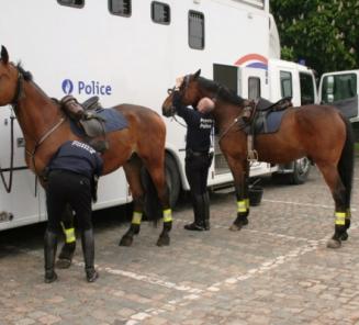Petitie afschaffing Federale Politie te Paard Petitie afschaffing Federale Politie te Paard