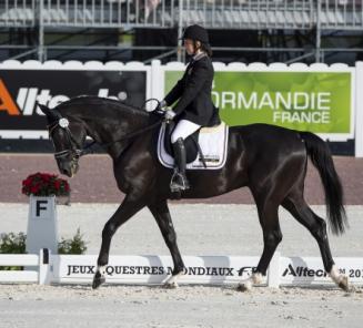 2 BWP?ers naar EK para equestrian dressage 2 BWP?ers naar EK para equestrian dressage