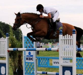 BWP vooraan op verschillende manches SBB-Competitie voor Jonge Paarden BWP vooraan op verschillende manches SBB-Competitie voor Jonge Paarden