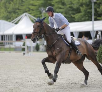 Hidalgo VG wint het 'Championat von Mannheim' Hidalgo VG wint het 'Championat von Mannheim'