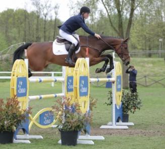 Elvis II van de Rhandiahoeve wint in Duitsland Elvis II van de Rhandiahoeve wint in Duitsland