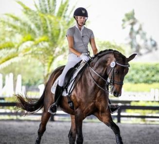 Indigo Magiste de Mars derde op Gold Coast Dressage Festival Indigo Magiste de Mars derde op Gold Coast Dressage Festival