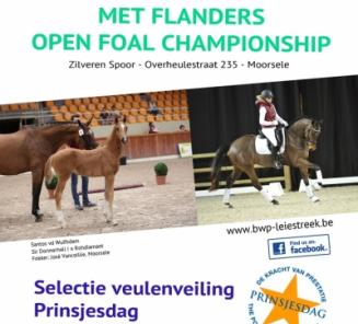 EINDUITSLAG Flanders Open Foal Championship EINDUITSLAG Flanders Open Foal Championship