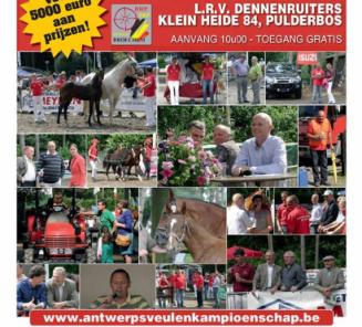 Aftellen naar 12de Antwerps Veulenkampioenschap - 6 augustus Aftellen naar 12de Antwerps Veulenkampioenschap - 6 augustus