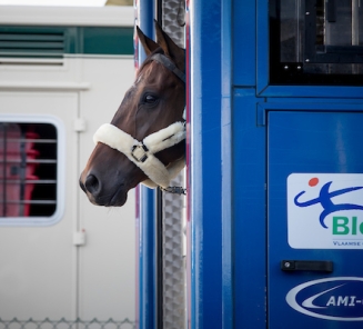 De eerste Belgische paarden voor Rio zijn vertrokken! De eerste Belgische paarden voor Rio zijn vertrokken!