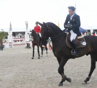 Jaleo van het Heuvelland wint de troosting bij de 7-jarigen Jaleo van het Heuvelland wint de troosting bij de 7-jarigen