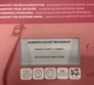 Let op: veulens aanmelden voor 27 september Let op: veulens aanmelden voor 27 september