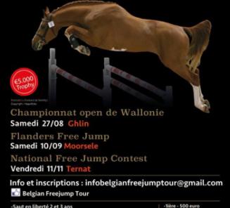 Caristilo JPZ en Nilton van ter Moude nemen de leiding in de 'Belgian Free Jump Tour powered by Emerald' Caristilo JPZ en Nilton van ter Moude nemen de leiding in de 'Belgian Free Jump Tour powered by Emerald'