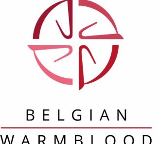 Info voor BWP Gewesten online Info voor BWP Gewesten online