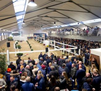 Geslaagde editie van de National Free Jump Contest Geslaagde editie van de National Free Jump Contest