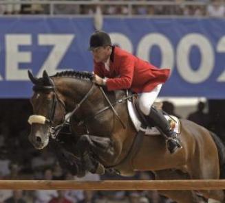 BWP Top Stallion Auction: het afsluitende lot BWP Top Stallion Auction: het afsluitende lot