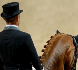 Dressuur: Ginsengue, La Gesse Hot Chocolat vd Kwaplas en Jazz Dancer vh Stappershof presteren in Le Mans