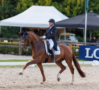 Quberon Van Het Beukenhof en Tom Heylen