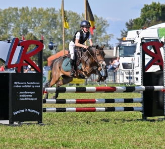 wablief de weikes nationaal ponytornooi