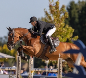 Ochi van't Domentshof