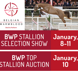 HENGSTENKEURING 2026