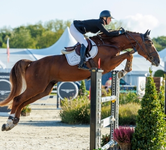 Replay van't Paradijs rooms van den brande