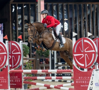 Derde fase hengstenkeuring 2026