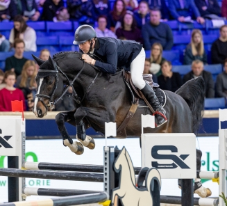 breemeersen diamond Bronde