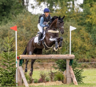 QUINTUS de Liedekerke-Meier