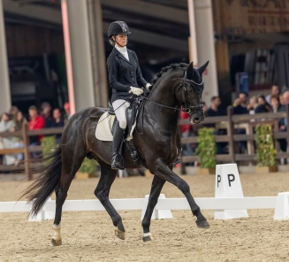 Virtuoso vh Bloemenhof