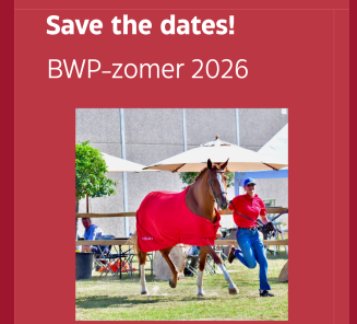 save the dates zomer 2026