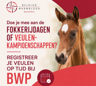 registreer veulen ifv fokkerijdagen
