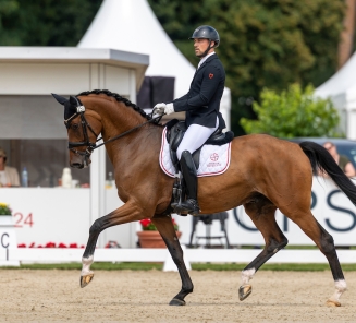 selectie wk jonge dressuurpaarden