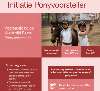 Flyer pony's voorstellen Aalter