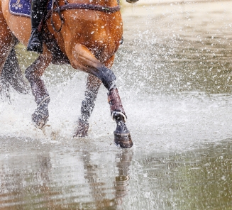 Eventing detail