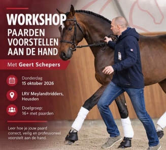 workshop jong bwp