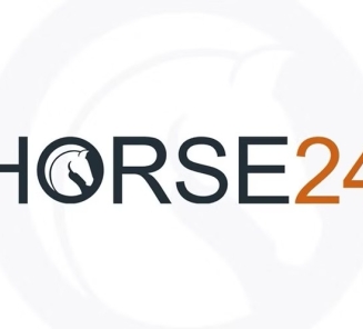 horse24