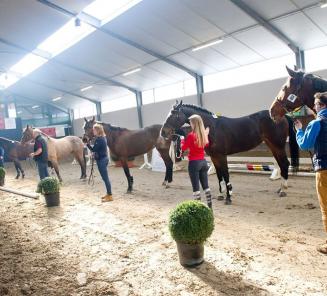 Startlijst vrijspringen Ternat staat online Startlijst vrijspringen Ternat staat online