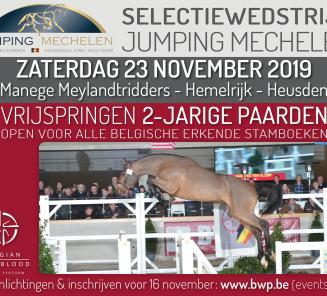 Vrijspringen 2-jarigen, BWP Limburg (selectie Mechelen) Vrijspringen 2-jarigen, BWP Limburg (selectie Mechelen)