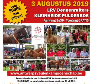 Schrijf nu uw veulen in voor het Antwerps veulen kampioenschap Schrijf nu uw veulen in voor het Antwerps veulen kampioenschap