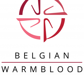 Top prestaties voor Wilm Vermeir in Samorin Top prestaties voor Wilm Vermeir in Samorin