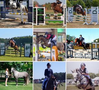 BWP Stallion Approval : adapted programme BWP Stallion Approval : adapted programme