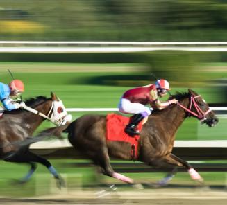 Productinfo / 5 beroemde racepaarden Productinfo / 5 beroemde racepaarden