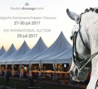 Des prix réalistes lors de la 4ème FDE International Foal Auction Des prix réalistes lors de la 4ème FDE International Foal Auction