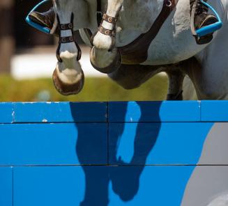 Faustino de Tili start met winst in Wellington Faustino de Tili start met winst in Wellington