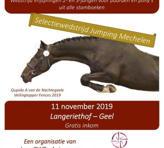 BWP, Waregem Horse Week en BWFA slaan de handen in elkaar BWP, Waregem Horse Week en BWFA slaan de handen in elkaar