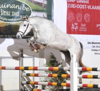 BWP Zuid-Oost-Vlaanderen: bevestiging deelname finale Open Kampioenschap Vrijspringen t.e.m. 25 februari BWP Zuid-Oost-Vlaanderen: bevestiging deelname finale Open Kampioenschap Vrijspringen t.e.m. 25 februari